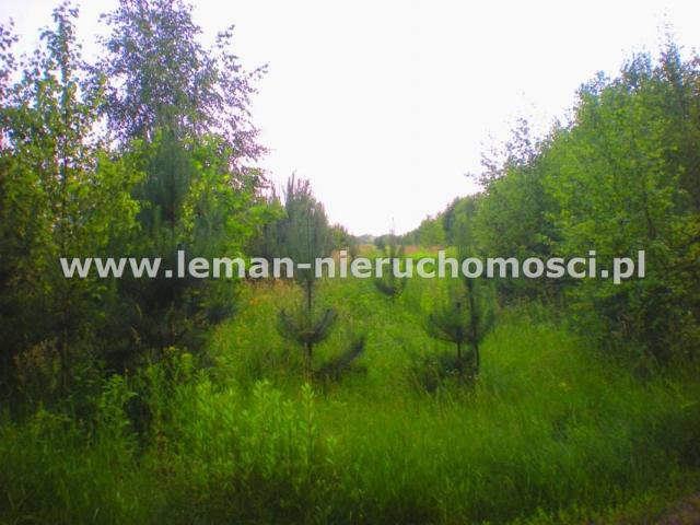 Działka 12 100 m², Jankowa