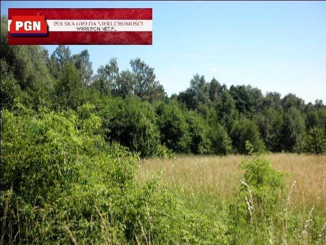 Działka 12 120 m², Polanica Zdrój