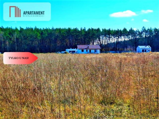 Działka 12 360 m², Wałdowo Królewskie