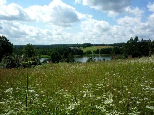 Działka 12 300 m², Olszewo