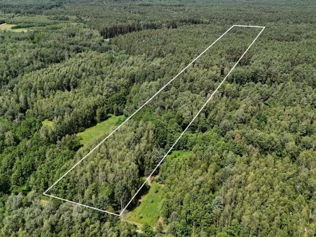 Działka 12 445 m², Osiek