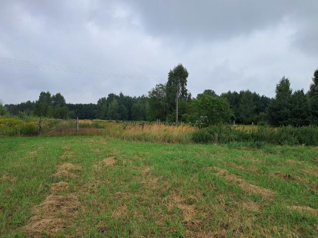 Działka 12 400 m² pod zabudowę jednorodzinną w Opolu Lubelskim