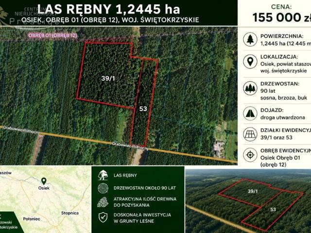 Działka 12 425 m², Osiek