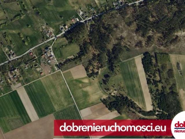 Działka 12 430 m², Józefkowo