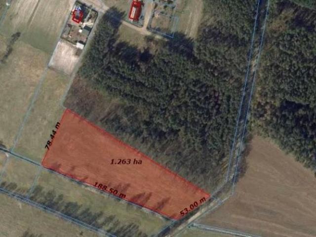 Działka 12 500 m², Jarantów Kolonia