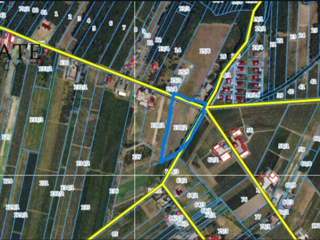 Działka 12 500 m², Góra Kalwaria