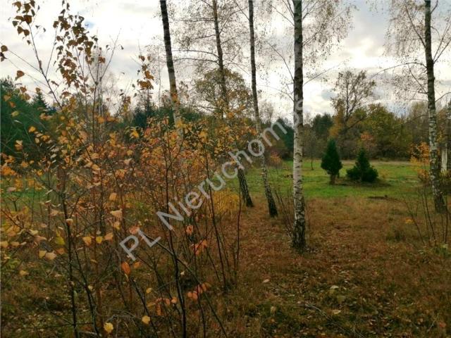 Działka 12 690 m², Nowe Załubice