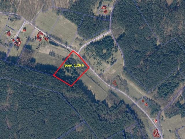 Działka 12 600 m², Nowe Kurowo