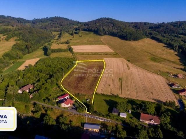 Działka 12 600 m², Wojciechowice