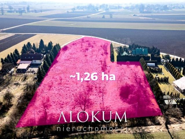 Działka 12 600 m², Wola Batorska