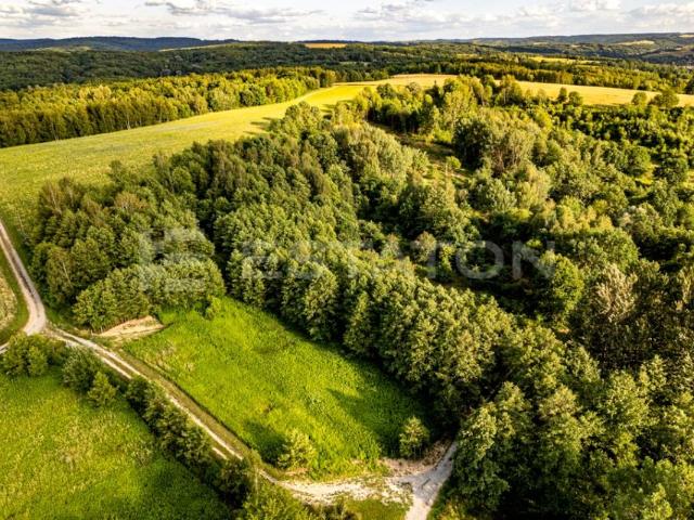 Działka 12 793 m², Nowy Borek