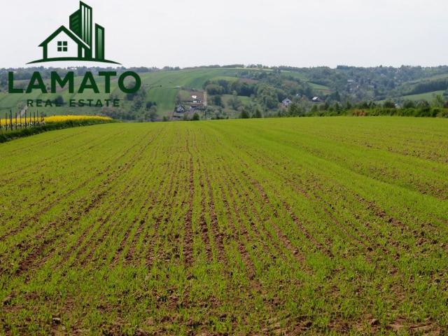 Działka 12 841 m², Wilczkowice