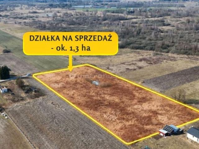 Działka 12 852 m², Jagodnia