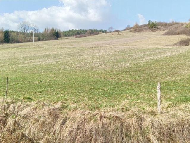 Działka 12 900 m², Kąty