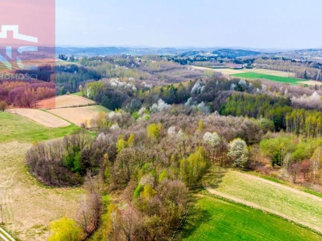 Działka 12 900 m², Rzepiennik Biskupi