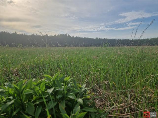 Działka 1300 m² z warunkami zabudowy i dostępem do mediów