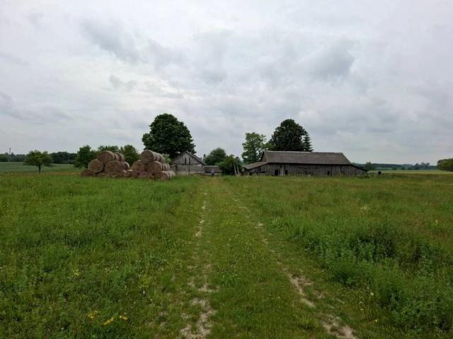 Działka 130 000 m², Mogilnica