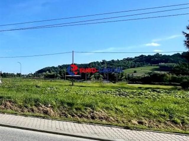 Działka 13 000 m², Limanowa