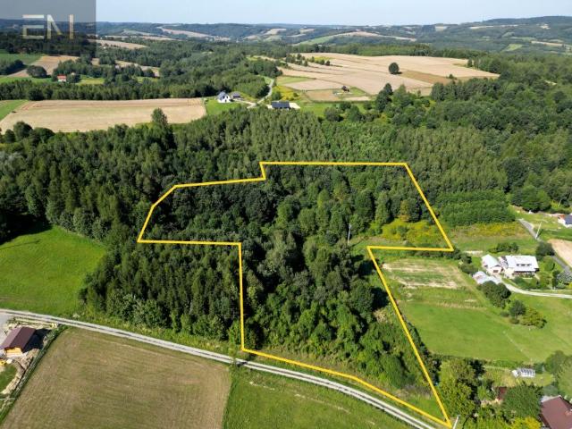 Działka 13 100 m², Dobrzechów