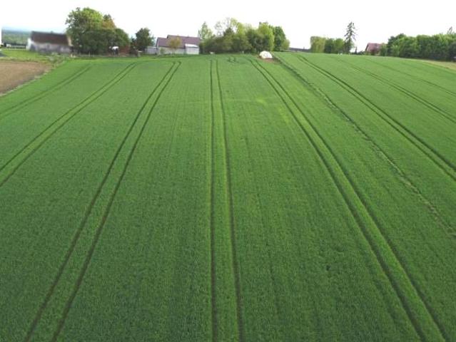 Działka 13 200 m², Stręgoborzyce