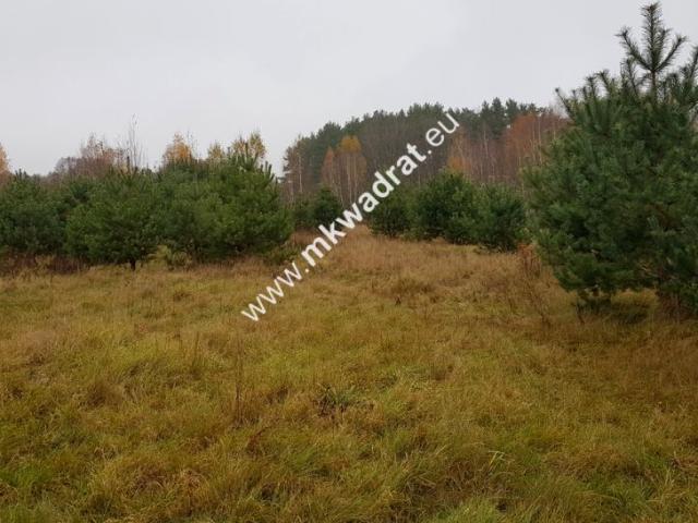 Działka 13 347 m², Ojrzanów