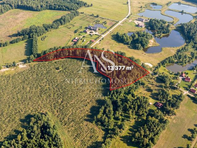Działka 13 377 m² z warunkami zabudowy pod dom jednorodzinny