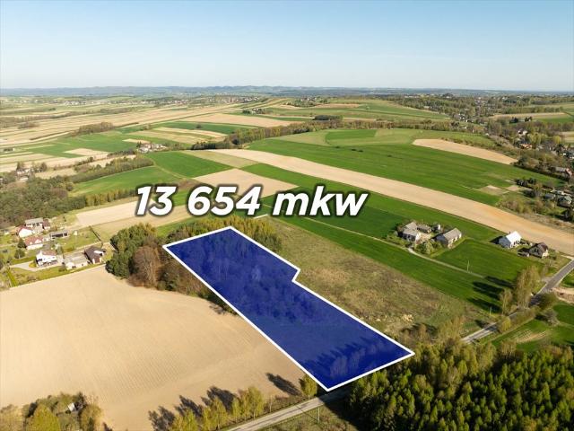 Działka 13 654 m2 pod dom i gospodarstwo w Sucha