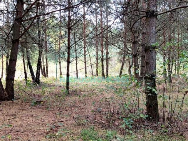 Działka 13 700 m², Zimna Woda