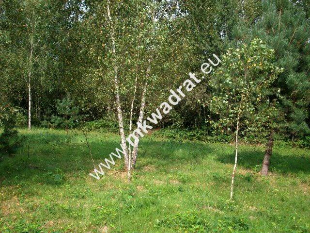 Działka 13 700 m², Zimna Woda