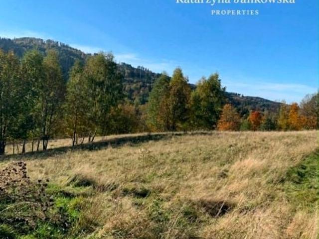 Działka 13 853 m², Walim