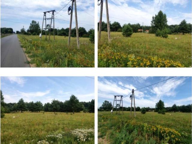 Działka 13 800 m², Kolonia