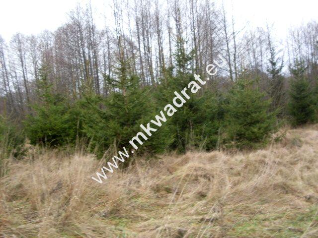 Działka 13 980 m², Korabiewice