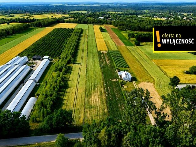 Działka 13 900 m², Niemścice