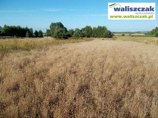 Działka 13 900 m², Wielkopole