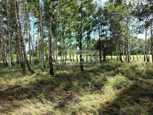 Działka 1 005 m², Gawartowa Wola