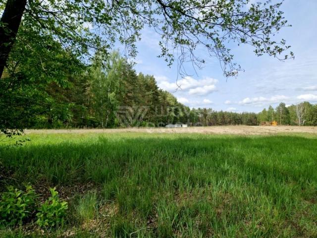 Działka 1 005 m², Nowe Łachy