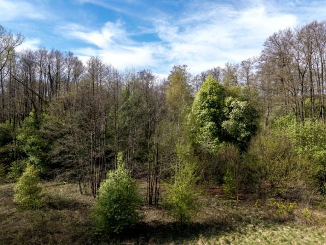 Działka 1 006 m², Borszewice Cmentarne