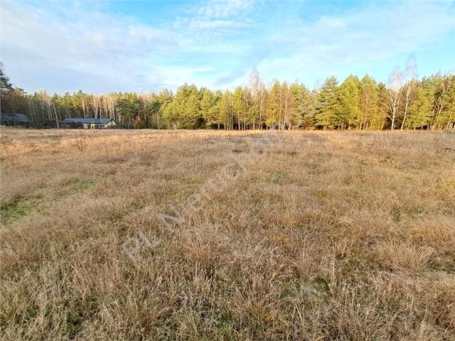 Działka 1 008 m², Czarnocin