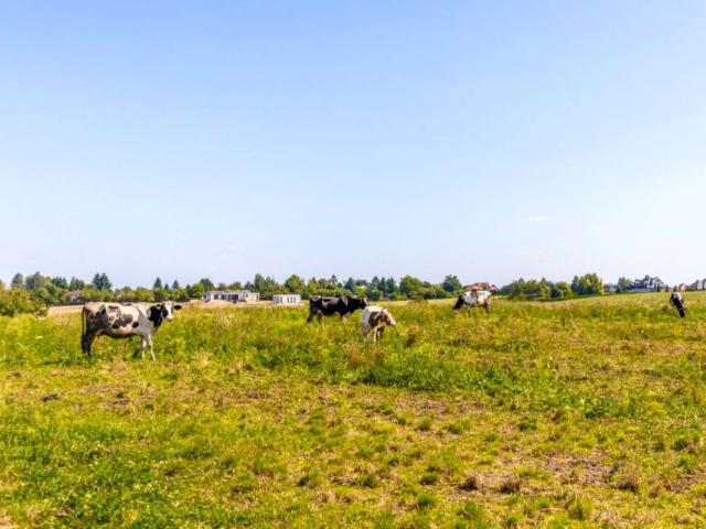 Działka 1 009 m², Uniszowice