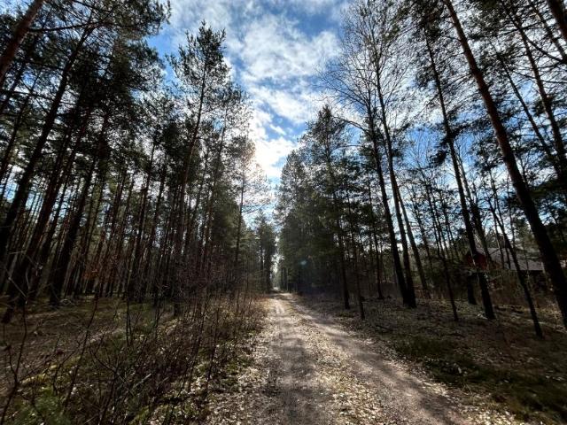 Działka 1 000 m², Żabieniec