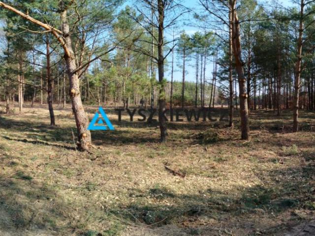 Działka 1 000 m², Bukowiny