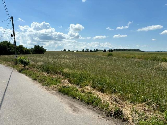 Działka 1 000 m², Gołaczów