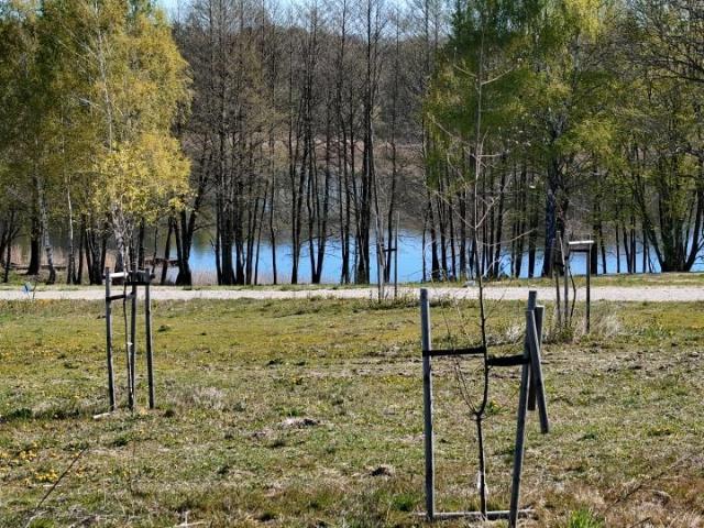 Działka 1 000 m², Dziki
