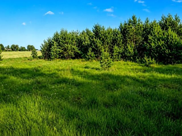 Działka 1 000 m², Karwno