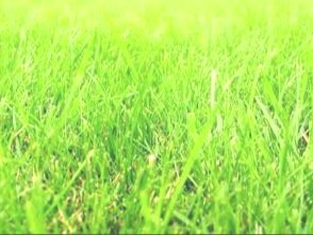 Działka 1 000 m², Kliniska Wielkie