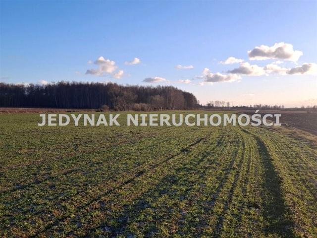 Działka 1 000 m², Kruszyn Krajeński