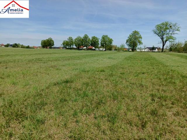 Działka 1 000 m², Kruszewnia