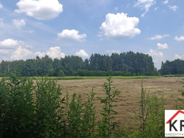 Działka 1 000 m², Krzywa Góra