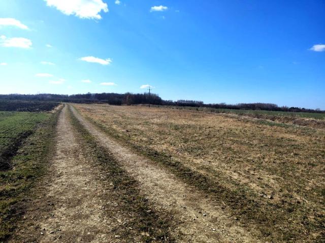 Działka 1 000 m², Jarosław