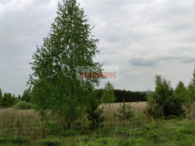 Działka 1 000 m², Ogrodniczki